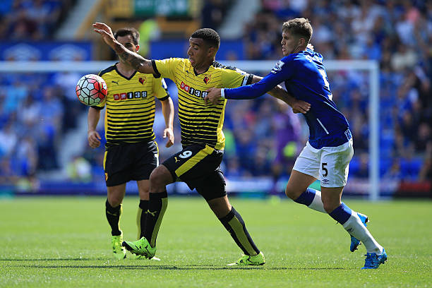 绿叶衬红花 绿叶衬红花